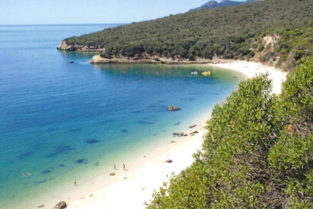 Concha Setubal Miradouroアパートメント エクステリア 写真